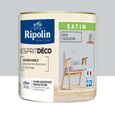 RIPOLIN Peinture murale Esprit déco multi-supports - 0,5 L - Gris Télescope-1