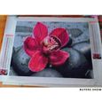 5D peinture diamant orchidée broderie 2717 Full Square 45X60cm -FY66347-2