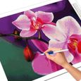 5D peinture diamant orchidée broderie 2717 Full Square 45X60cm -FY66347-3