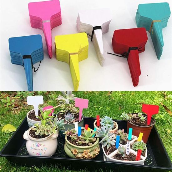 Étiquettes Plantes Type T-Type Bamboo Étiquettes de Plantes Eco Étiquettes Plantes Type T-Type Bamboo Étiquettes de Plantes Eco