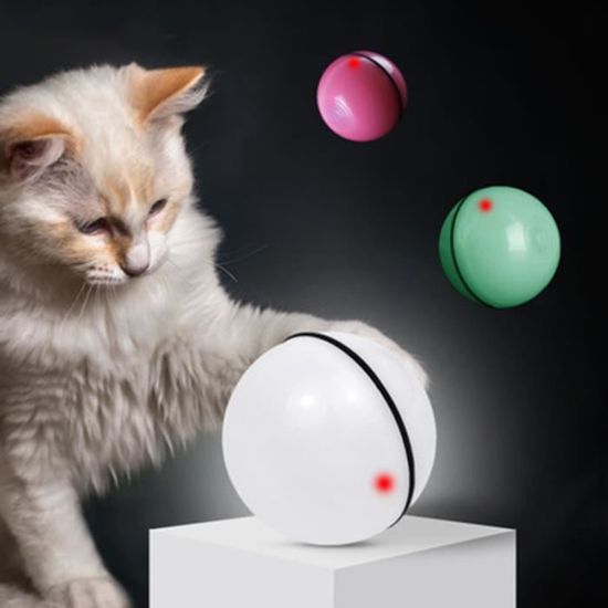 jeu interactif pour chat