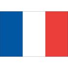 MISTER GADGET drapeaux france 90x60 cm