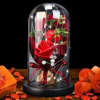 Rose Eternelle sous Cloche La Belle et La Bête Rose Enchantée Lumière LED Fleur Artificielle Décoration-ECTEATOY