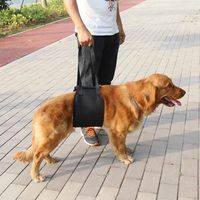 ZJCHAO Support de chien Harnais de rééducation de levage et d'assistance pour chien noir avec poignée pour canines aid (S)