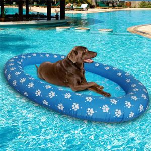 piscine chat cdiscount