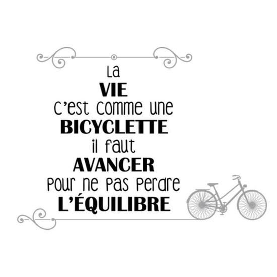 Planche De Stickers Messages La Vie C Est Comme Une Bicyclette Il Faut Avancer Pour Ne Pas Perdre L Equilibre 50x70 Q4822 Achat Vente Stickers Cdiscount
