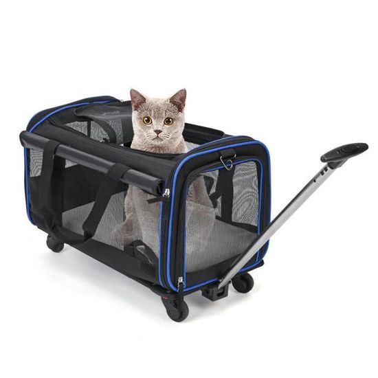 Porte bebe top pour chat
