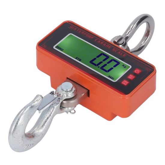 Balance à Grue, Balance à Grue De Haute Précision 300 Kg, Balance