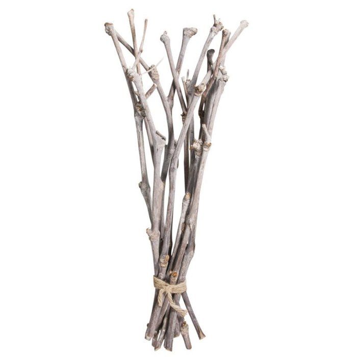 Botte de vignes 40cm botte 12 pces