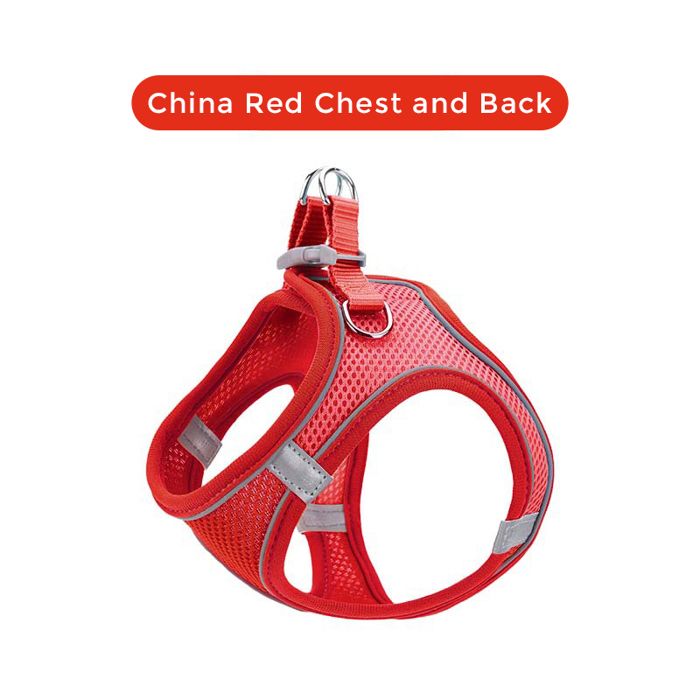 Harnais de chien réfléchissant - Phoesky - Respirant - Durable - Polyester nylon - Pour petites tailles - Rouge