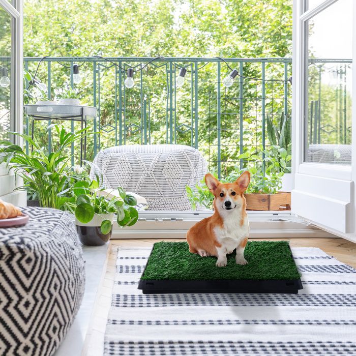 Toilettes pour chien avec gazon artificiel 51 x 63 x 6 cm vert bac amovible pour apprentissage chiot
