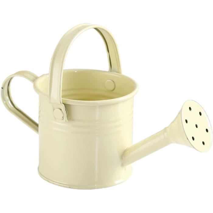 Arrosoir En Métal, Arrosoir Vintage, Mini Pot D