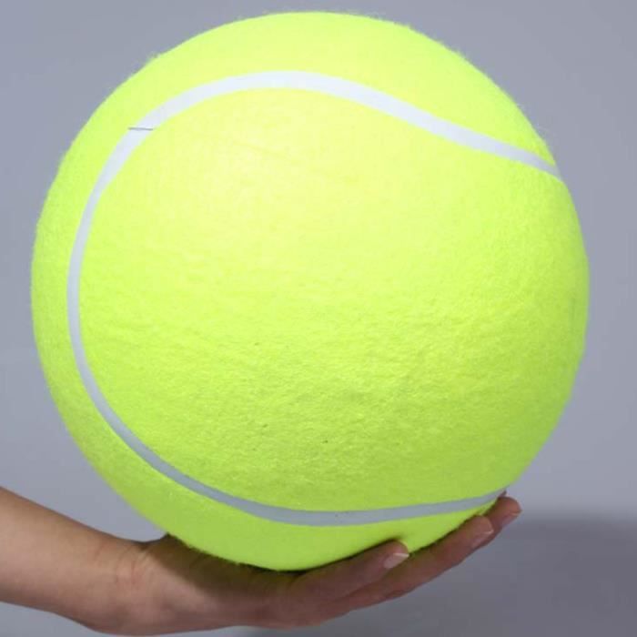 Meilleurs prix pour Cocosity Tennis Ball Giant 24cm Jouet Chien Chew Toy Jouet Signature