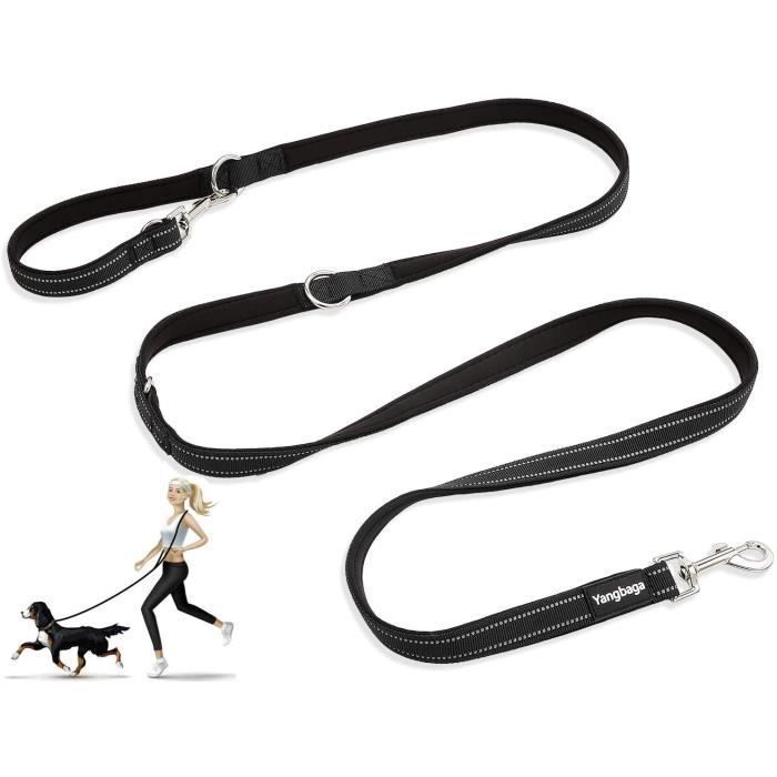 Meilleurs prix pour Laisse pour Chien Laisse Dressage réglable Chien Laisse en Nylon 4 Longueurs optionnel Noir (230cm*23cm)