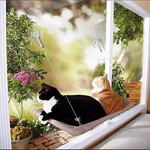 Hamac De Lit Pour Chats Hamac Perchoir De Fenetre Securite Monte Avec Des Tasses D Aspiration Resistantes Lit Radiateur 55x35cm Achat Vente Corbeille Coussin Hamac De Lit Pour Chats Ham Cdiscount Hamac De Lit Pour Chats Hamac Perchoir De Fenetre Securite Monte Avec Des Tasses D Aspiration Resistantes Lit Radiateur 55x35cm Achat Vente Corbeille Coussin Hamac De Lit Pour Chats Ham Cdiscount