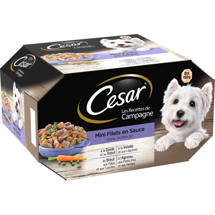 CESAR