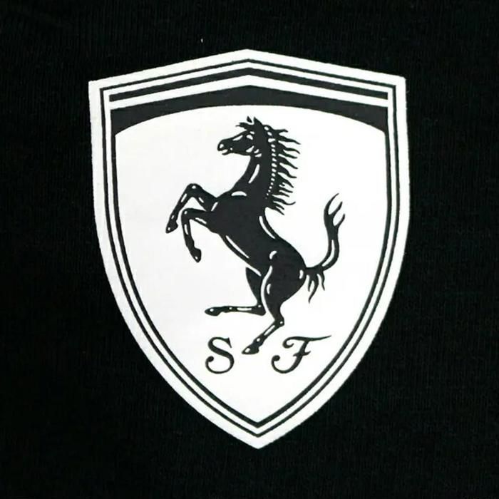 Jogging Puma Ferrari Race AOP noir Noir Cdiscount Pret a Porter