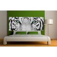 Stickers Tete De Lit Deco Chambre Yeux De Tigre Dimensions 180x70cm Achat Vente Stickers Cdiscount