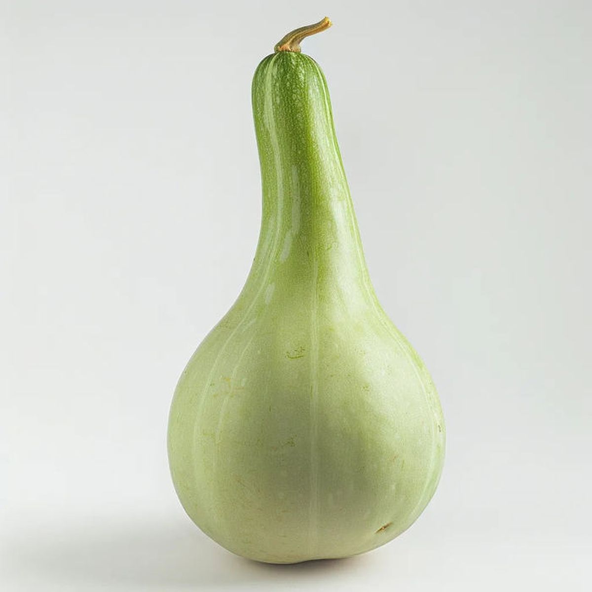 10 Graines de Calebasse - courge légume - semences reproductibles - non ...