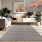 Paco Home Tapis De Salon Poils Ras Lavable Monochrome Style Moderne Gris Gris 200x280 cm
