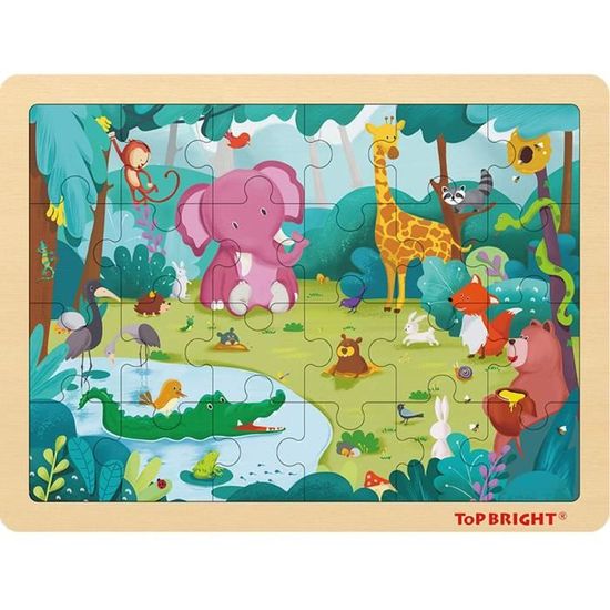 Kit Arbre Bois Halloween Enfant Baker Ross FE726 Kit De Lanternes En Bois Pour Enfants Motif Animaux De La Forêt - Lot De 3 Activite Manuelle En Bois Pour Enfant Loisirs Creatifs