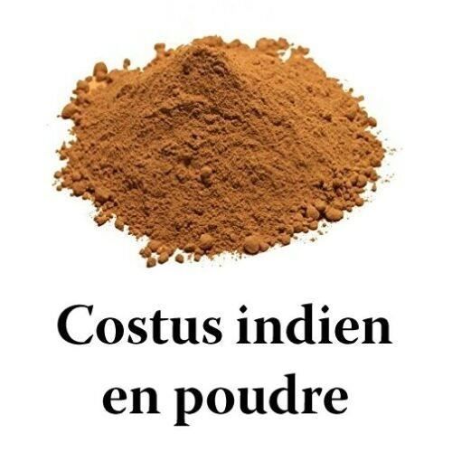 costus indien en poudre 40 gr