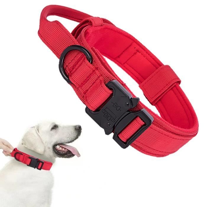 Collier Pour Chien Large Grand Chien K9 Collier Tactique Collier Pour Chien Avec