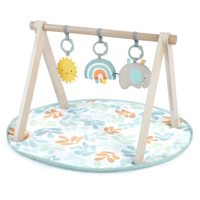ITY de INGENUITY Sun Valley tapis d'éveil avec arche de jeu en bois, 3 jouets amovibles, pliable, dè
