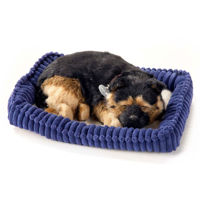 Perfect petzzz rottweiler on sale
