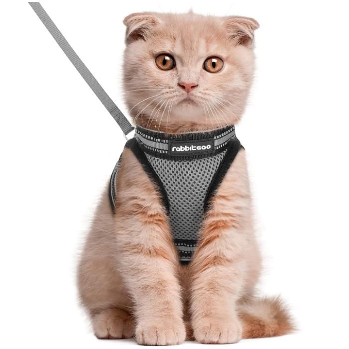 Comparer les prix de Rabbitgoo Harnais Chat Harnais pour chaton/petit chien Harnais Respirant et Bande Réfléchissante réglables -Taille M -Gris