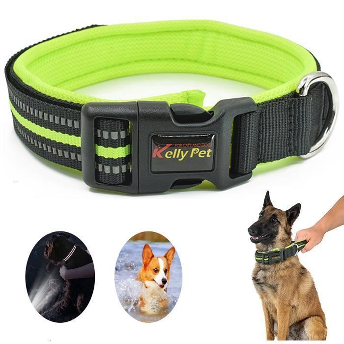 Collier D'Halloween Pour Chien/Chat Avec Chapeau Citrouille - Réglable 28-40 Cm - Nylon Souple - Déguisement Fête
