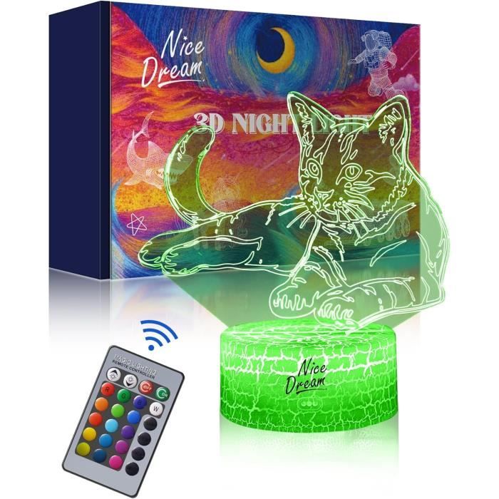 Lampe 3D Effet Illusion – Chat Maine Coon, à Poser (JNB-Maker)