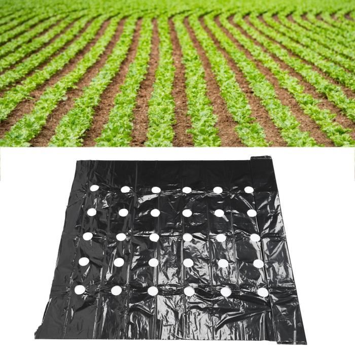 Verdemax Film De Serre Micro-perforé 2x10m - Protection Anti-gel Pour Votre Potager
