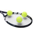 12 Pcs Balles de Tennis avec Sac de Transport Mesh, Balles pour Chien Chiot Lot Robuste et Durable réutilisable avec fermeture à cor-2