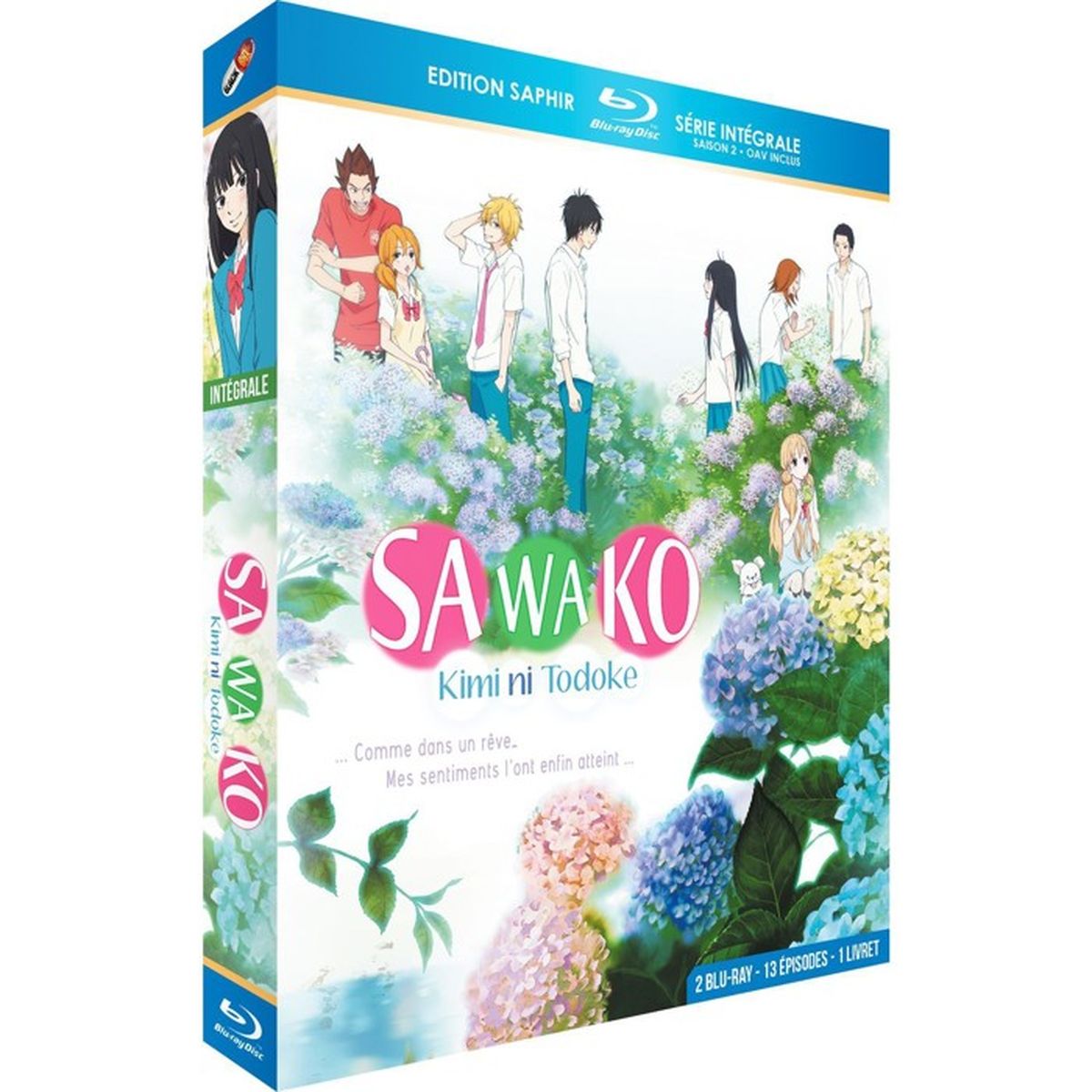 Le Garçon Dà Côté Saison 2 Sawako (Kimi ni Todoke) - Intégrale Saison 2 + OAV - Edition Saphir [2  Blu-ray] + Livret - Cdiscount DVD