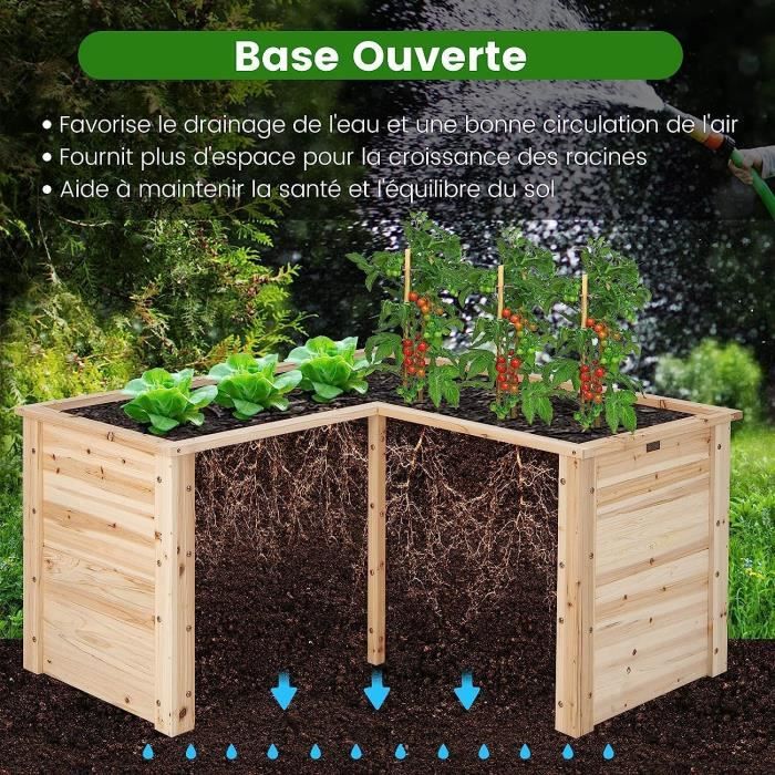 Carré Potager Rectangulaire 120 Cm En Bois Sans Fond - Idéal Pour Légumes, Fleurs Et Fruits