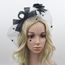 Dame Femmes Fascinator Dentelle Voile Plume Coiffure Cheveux Clip