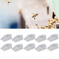 10 pièces équipement d'apiculture, entrée de ruche, accessoires d'apiculture non toxiques en acier inoxydable pour la maison