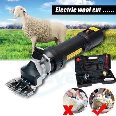 Tondeuse Mouton Tondeuse à Moutons électrique 350W - Professionnelle - 3600 Tr/min Tondeuse Bovin Tondeuse Mouton Tondeuse à Moutons électrique 350W - Professionnelle - 3600 Tr/min Tondeuse Bovin