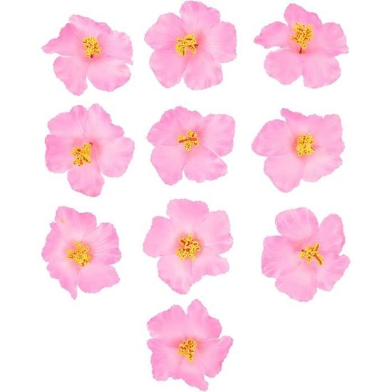 Lot D'articles Victoria's Secret PINK à Motifs Tropicaux Roses - Tailles XS Et S