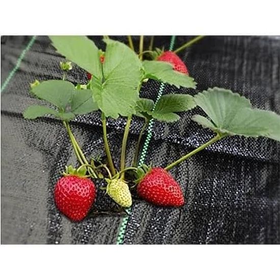 Toiles De Paillage 3m X 10m Toile Anti Mauvaises Herbes Jardin Bache