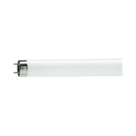 Philips Master lampe fluorescente TL-E 32 W 840 Circular Super 80 g10q Anneau Tube