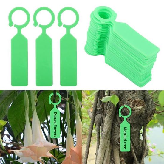 Étiquettes De Plantes 20x3cm PVC Flèche Plastique Plante étiquettes
