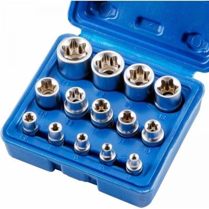 Douilles et embouts - lot de 14 Torx femelles E4-E24 hexagonales - douilles Étiquette