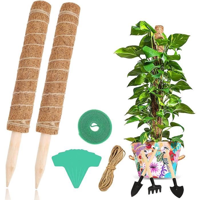 Tuteur Plante Grimpante JIYISHIHOU 4 Piu00e8ces 40cm Tuteur Monstera Tuteurs Pour Plante Grimpante Fibre De Coco Tuteur Coco