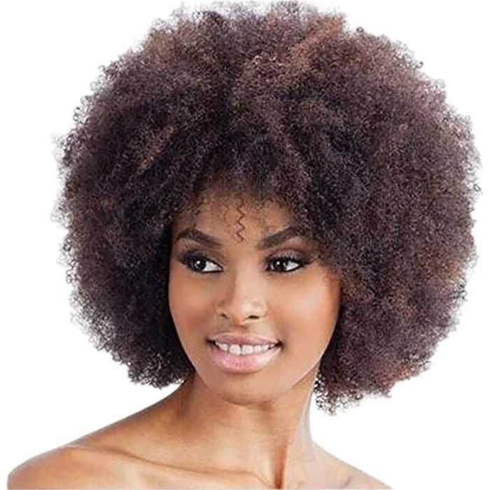 PERRUQUE Femme Perruques Afro Cheveux Naturels Pour Black Court
