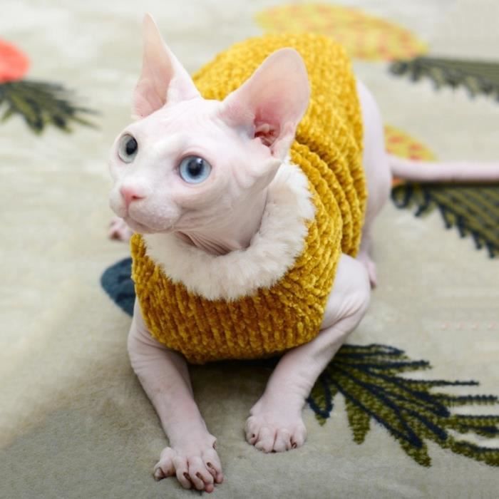 Animalerie Pull d hiver pour Sphynx chat vetements tendance manteau doux petit chien et chat vetements Type YELLOW L Cdiscount