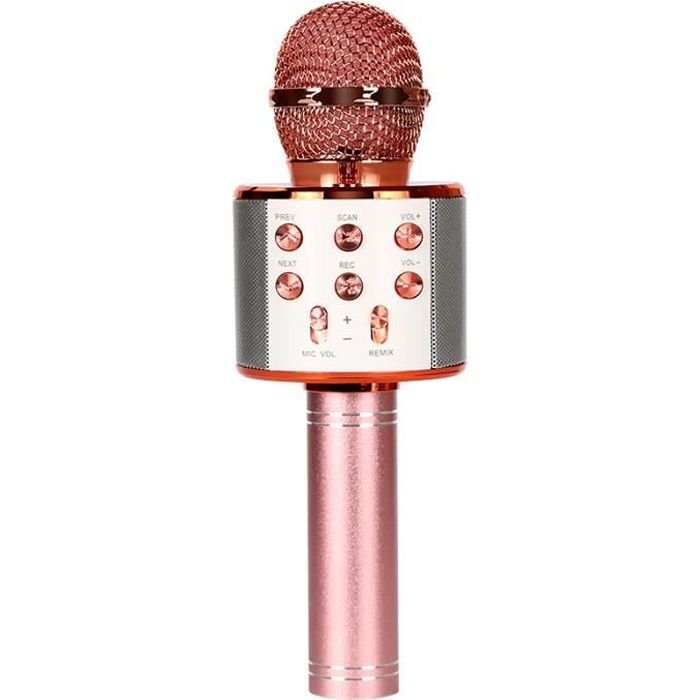 Microphone Sans Fil Karaoké, Ankuka Micro Karaoke avec Lumières LED de  Danse, Microphone Bluetooth pour Enfants Fille Rose - Cdiscount TV Son Photo