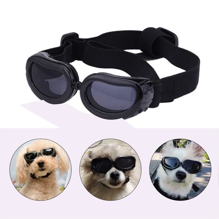 Meilleurs prix pour Qqmora Lunettes de pour chien, Protection UV, Vent et Eau pour Petits Chiens