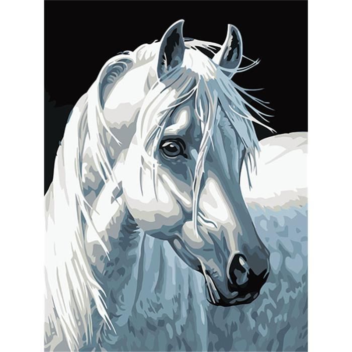KEYIFA Peinture par Numéros pour Adulte, Cheval et Chat Kits de Peinture au Numéro avec Canevas Acrylique et Pinceaux, DIY Creatif Toile Kits Paint by Numbers, Décoration de Maison 30x40cm KEYIFA Peinture par Numéros pour Adulte, Cheval et Chat Kits de Peinture au Numéro avec Canevas Acrylique et Pinceaux, DIY Creatif Toile Kits Paint by Numbers, Décoration de Maison 30x40cm